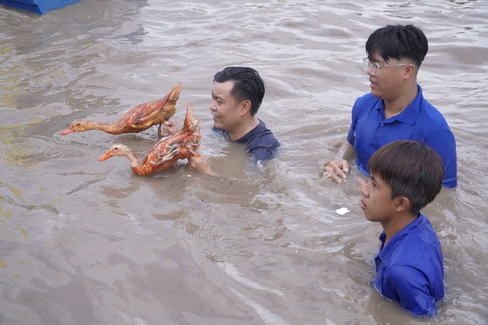 Khoảng 10.000 người trải nghiệm mùa nước nổi ở vùng biên giới Hồng Ngự  - ảnh 7