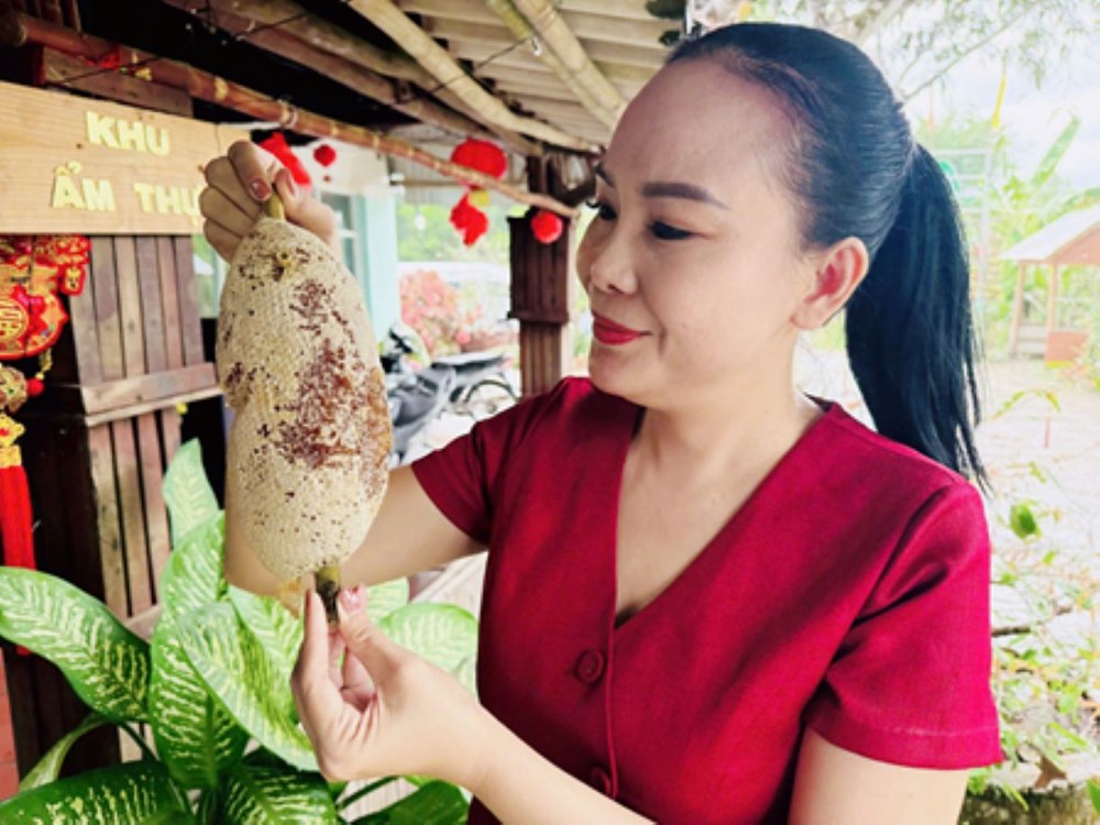 Cà Mau đón 7,2 triệu lượt du khách, doanh thu hơn 7.637 tỉ đồng - ảnh 3