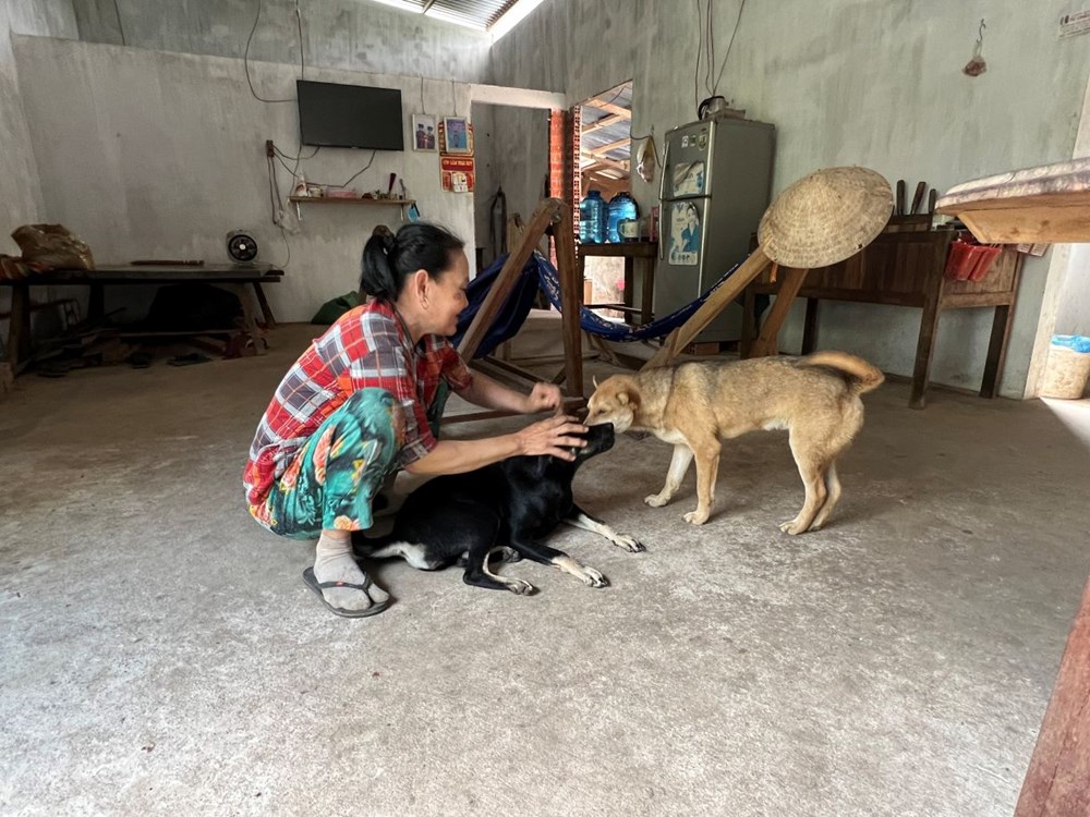 Nhiều trường hợp tử vong do bệnh dại, Vĩnh Long tăng cường giải pháp phòng, chống - ảnh 2