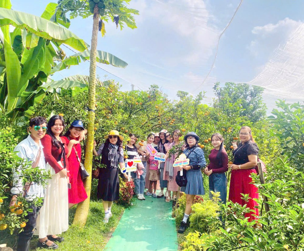 Đồng Tháp: Phát triển du lịch gắn với các mô hình nông nghiệp sinh thái - ảnh 1