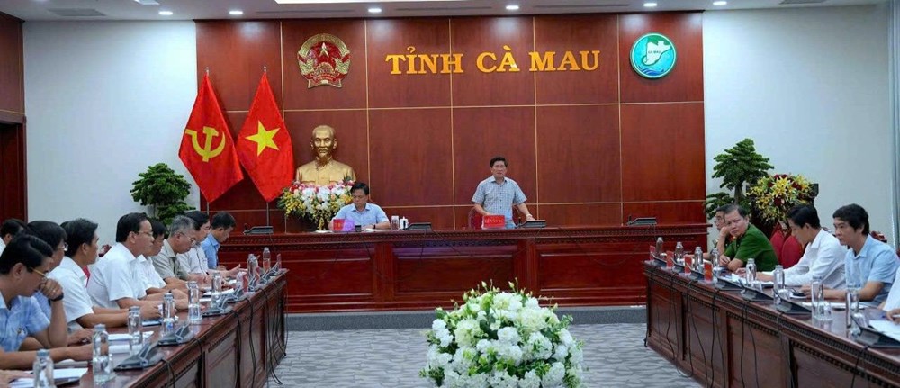 Cà Mau khắc phục 6.860ha lúa hè thu bị ngập do mưa lớn kéo dài - ảnh 1