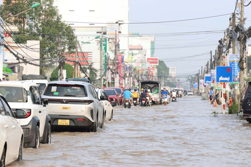Cần Thơ: Chủ động ứng phó với triều cường cuối tháng 9 tăng cao - ảnh 1