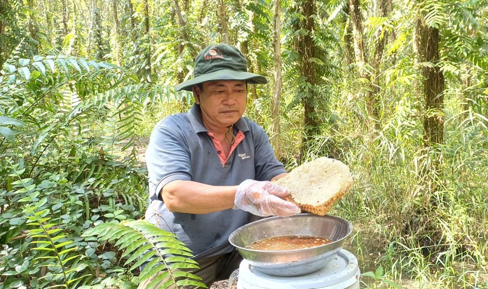 Phát triển HTX gắn với du lịch nông nghiệp để khai thác tài nguyên bản địa - ảnh 5