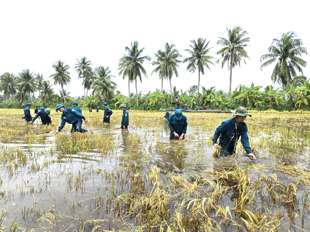 Trong tháng 10.2026, Cà Mau chi trả phụ cấp công vụ 55% cho cán bộ, công chức cấp xã  - ảnh 2