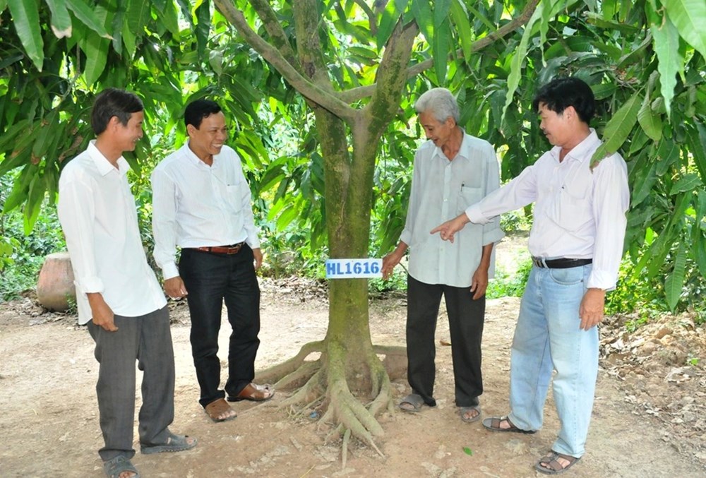 Đánh thức vốn văn hóa trong phát triển nông nghiệp, nông thôn - ảnh 2