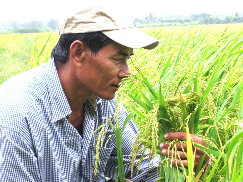 Đánh thức vốn văn hóa trong phát triển nông nghiệp, nông thôn - ảnh 4
