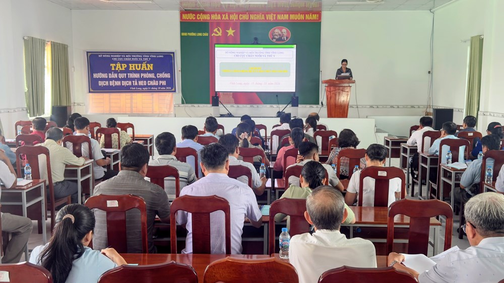 ĐBSCL khẩn cấp phòng, chống bệnh dịch tả heo châu Phi đang lan rộng - ảnh 1