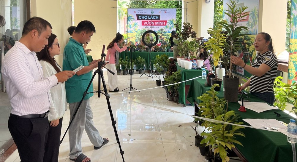 Vĩnh Long khai mạc sự kiện livestream “Cộng đồng Chợ Lách vươn mình” - ảnh 1