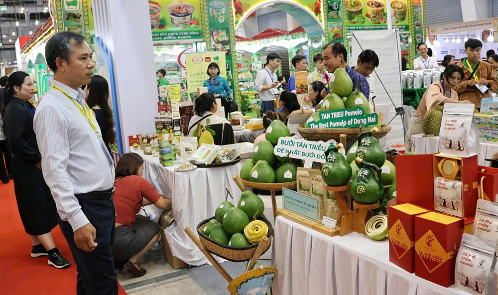 Hơn 400 doanh nghiệp giới thiệu các sản phẩm xuất khẩu chủ lực - ảnh 1
