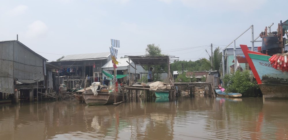 Cà Mau tính toán di dời 3.255 hộ khỏi khu vực thiên tai với chi phí hơn 884 tỉ đồng - ảnh 1