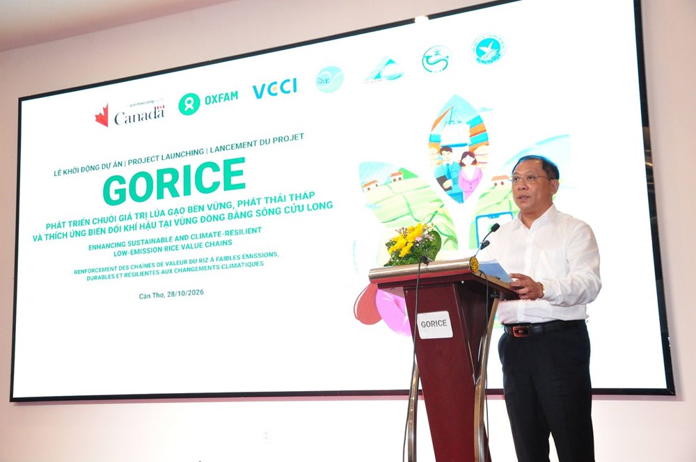 Nhiều phụ nữ và đồng bào dân tộc thiểu số được hưởng lợi từ dự án lúa gạo bền vững ở ĐBSCL - ảnh 3