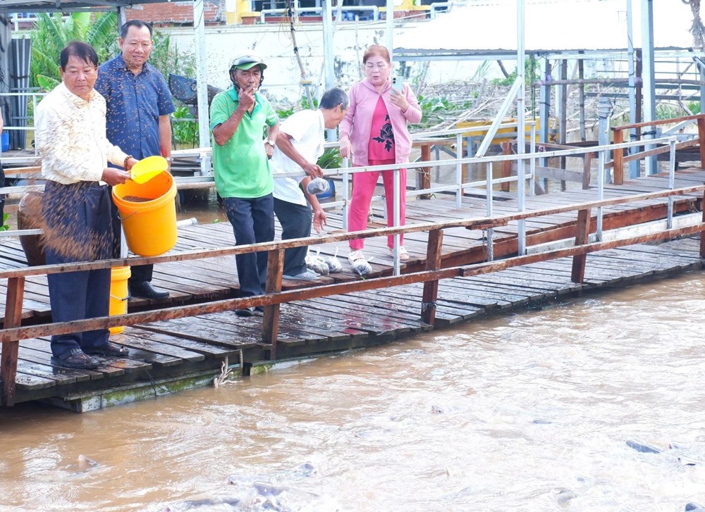 Đồng Tháp “biến” khu bảo tồn cá tự nhiên với số lượng lớn, thành điểm du lịch  - ảnh 3