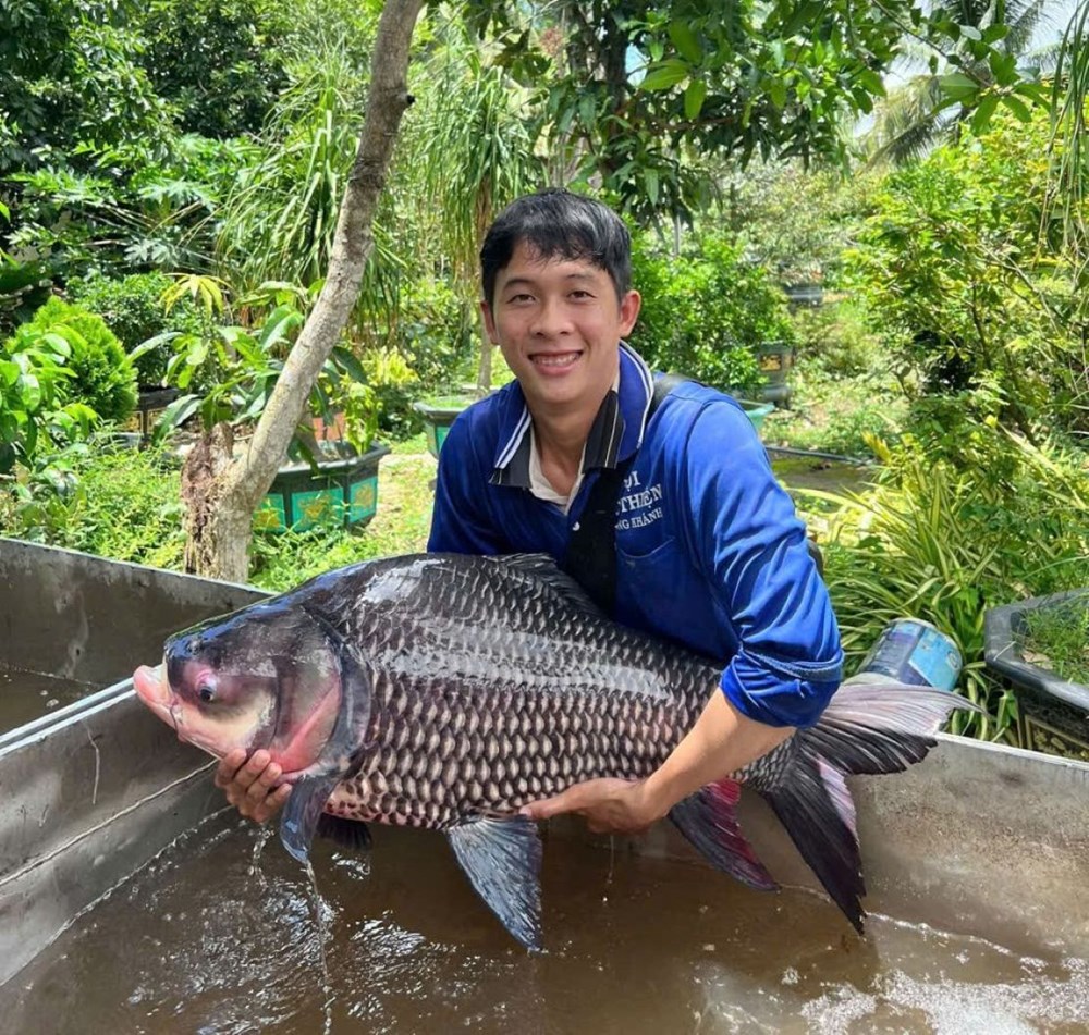 Đồng Tháp “biến” khu bảo tồn cá tự nhiên với số lượng lớn, thành điểm du lịch  - ảnh 9