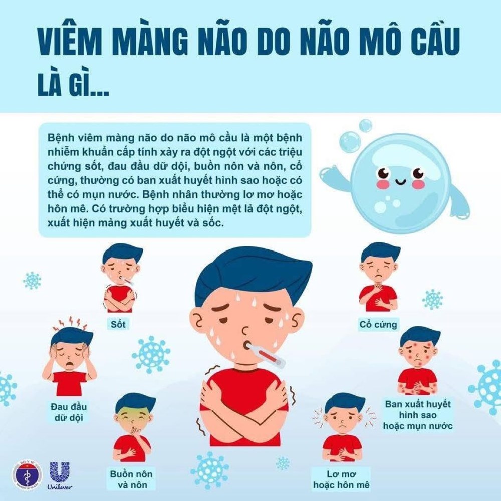 Viện Pasteur TP.HCM làm việc với Cà Mau về ứng phó với bệnh viêm não mô cầu - ảnh 3