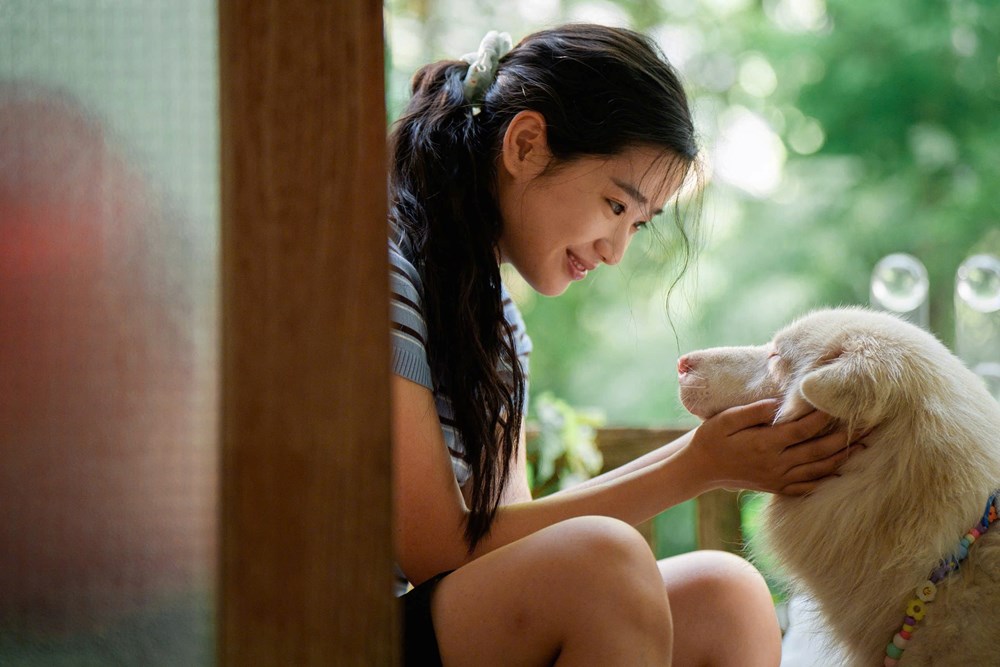“Tạm biệt Gohan” thống lĩnh phòng vé Việt - ảnh 2