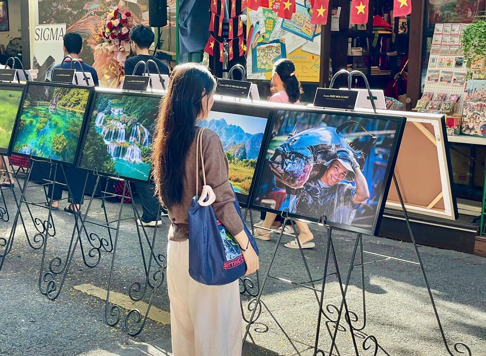 Triển lãm “Hồ Vũ – Góc nhìn nửa thế kỷ” - ảnh 4