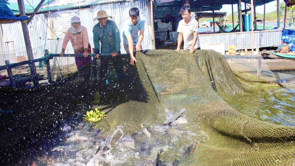 Xây dựng mô hình phát triển du lịch làng chài Sê San gắn với bảo tồn nuôi trồng thuỷ sản - ảnh 3