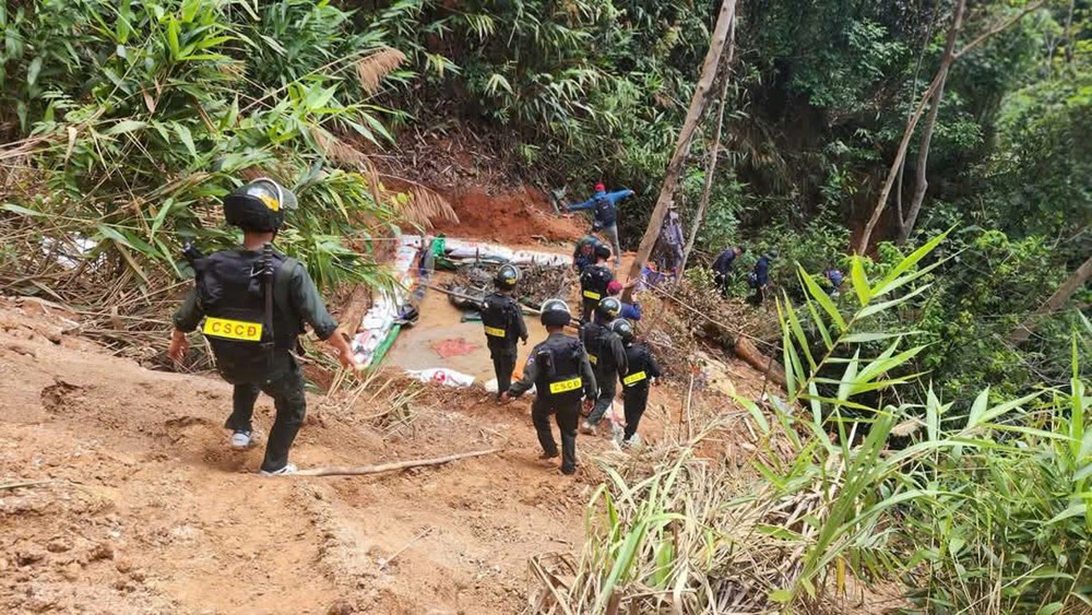 Gia Lai: Phát hiện hầm vàng trái phép trong rừng phòng hộ, chính quyền vào cuộc - ảnh 1