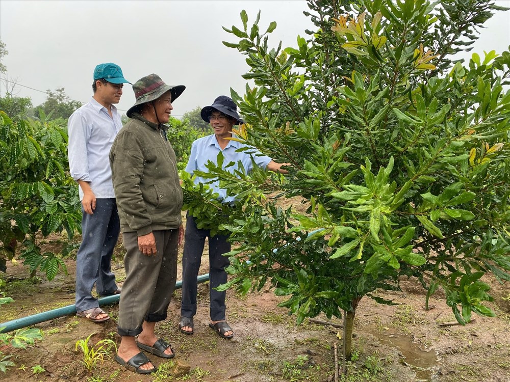 Những kết quả nổi bật từ Cuộc vận động “Làm thay đổi nếp nghĩ, cách làm” ở Đăk Tô - ảnh 2