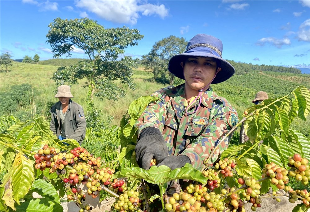 Những kết quả nổi bật từ Cuộc vận động “Làm thay đổi nếp nghĩ, cách làm” ở Đăk Tô - ảnh 5