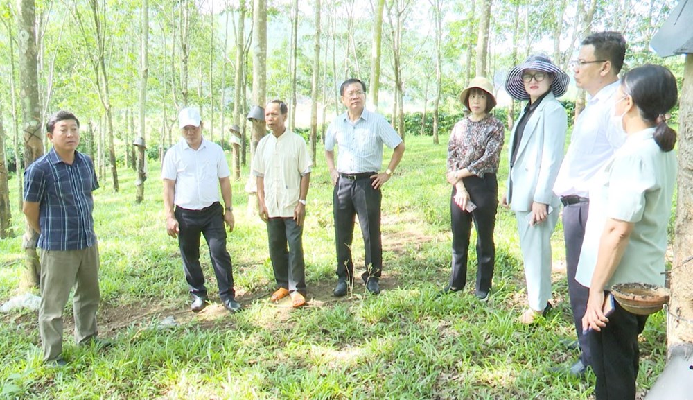 Huyện Đăk Tô lồng ghép hiệu quả nguồn lực, thúc đẩy giảm nghèo bền vững - ảnh 1