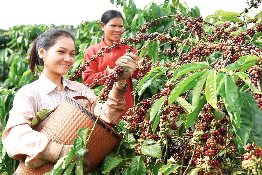 Huyện Đăk Tô lồng ghép hiệu quả nguồn lực, thúc đẩy giảm nghèo bền vững - ảnh 5