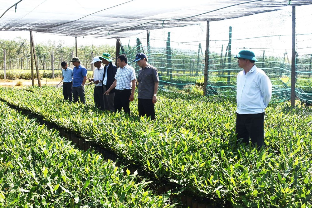 Huyện Đăk Tô lồng ghép hiệu quả nguồn lực, thúc đẩy giảm nghèo bền vững - ảnh 3
