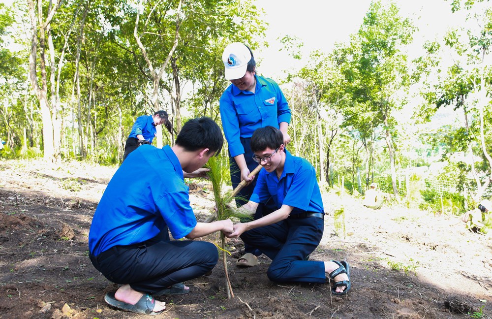 Kon Tum: Phát động Tết trồng cây và hưởng ứng Ngày Môi trường thế giới năm 2025 - ảnh 3