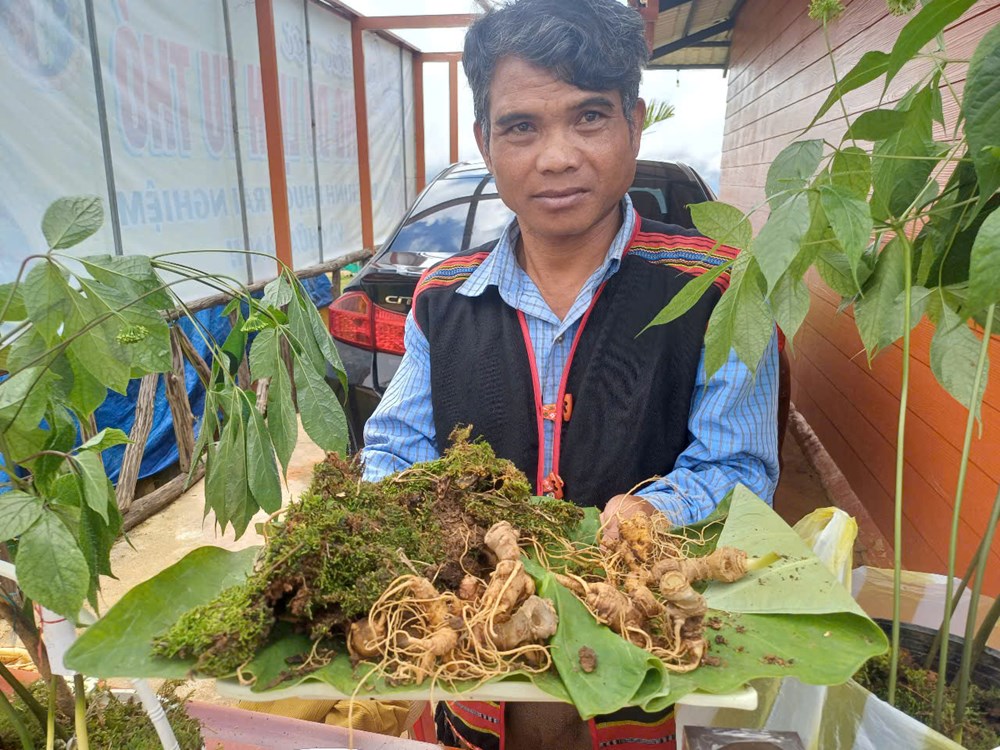 Kon Tum: Phiên chợ Sâm Ngọc Linh, kết nối bản sắc văn hóa với du lịch - ảnh 3