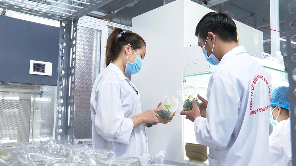 Sau hậu kiểm phát hiện nhiều sai phạm, kiến nghị đình chỉ mã số đã cấp - ảnh 2