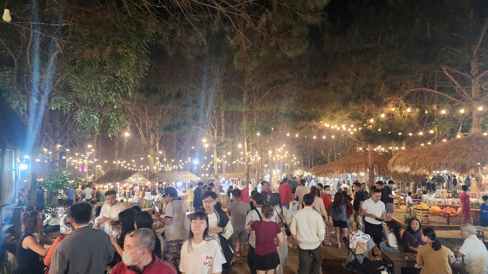 Sau sáp nhập, Quảng Ngãi vươn mình thành “thiên đường du lịch” mới của miền Trung – Tây Nguyên - ảnh 2