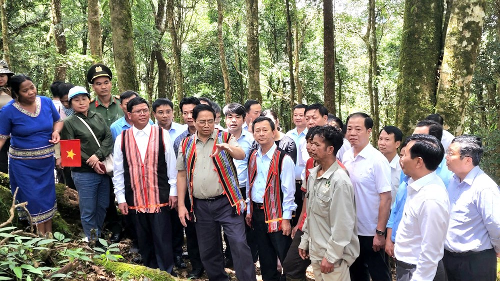 Sau sáp nhập, Quảng Ngãi vươn mình thành “thiên đường du lịch” mới của miền Trung – Tây Nguyên - ảnh 5