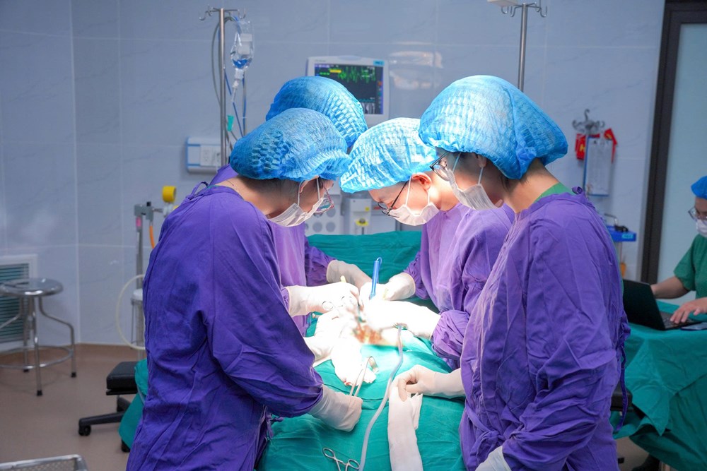 Bệnh viện Hùng Vương Gia Lai phẫu thuật thành công sỏi bàng quang “khổng lồ” hơn 10cm - ảnh 2