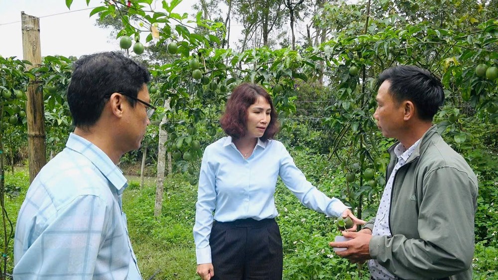 Xã Măng Đen đẩy mạnh liên kết sản xuất, tiêu thụ nông sản - ảnh 2