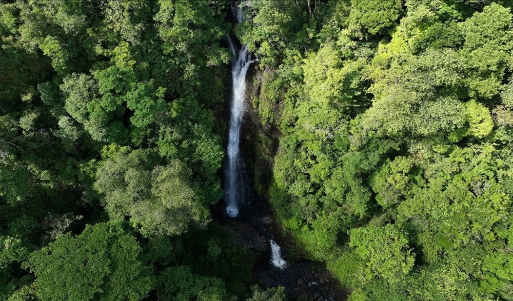 Xã Kon Plông (Quảng Ngãi): Hành trình kiến tạo điểm đến xanh giữa đại ngàn Tây Nguyên - ảnh 2