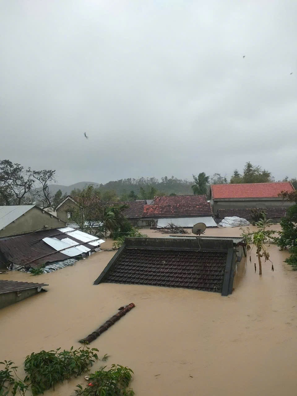 Đắk Lắk: Nước lũ dâng chạm nóc nhà, nhiều người dân lên mạng xã hội cầu cứu trong đêm - ảnh 2