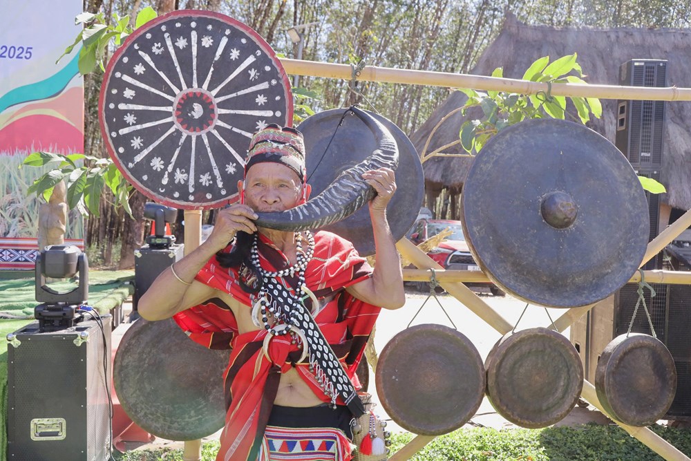 Quảng Ngãi: Bảo tồn văn hóa Giẻ Triêng qua lễ hội Mừng lúa mới ở Dục Nông - ảnh 3