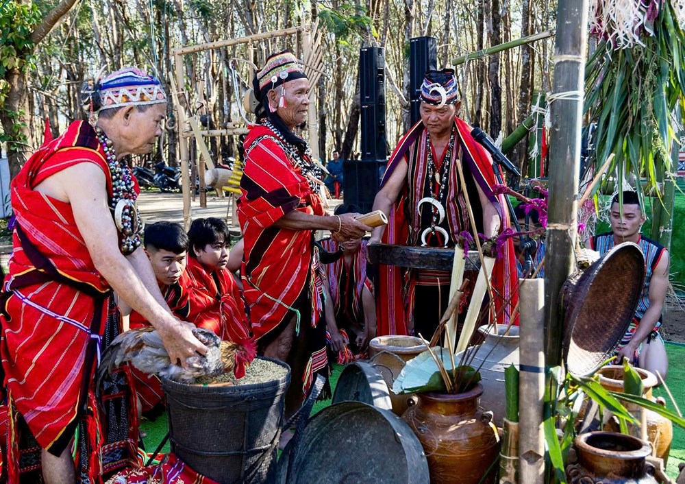 Quảng Ngãi: Bảo tồn văn hóa Giẻ Triêng qua lễ hội Mừng lúa mới ở Dục Nông - ảnh 1