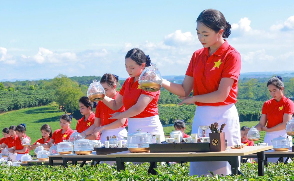 Lâm Đồng: Khép lại Lễ hội Trà quốc tế 2025 với nhiều dấu ấn - ảnh 3