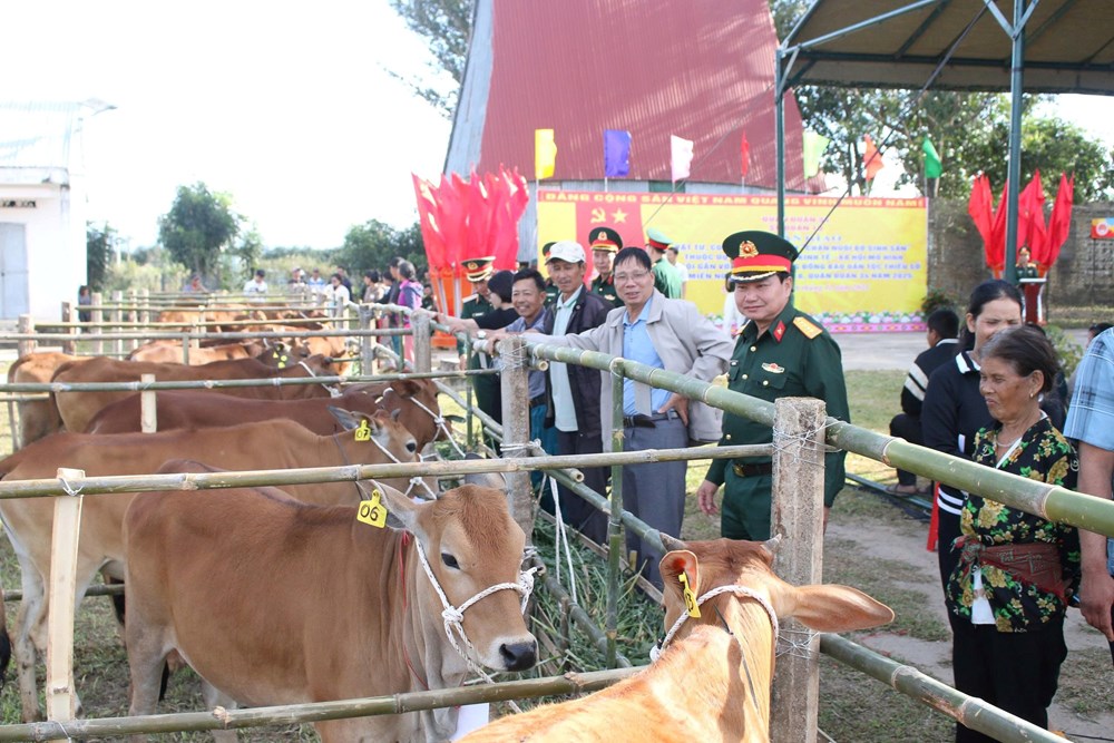 Sư đoàn 10 trao sinh kế bền vững cho người dân xã Ia Chim - ảnh 3