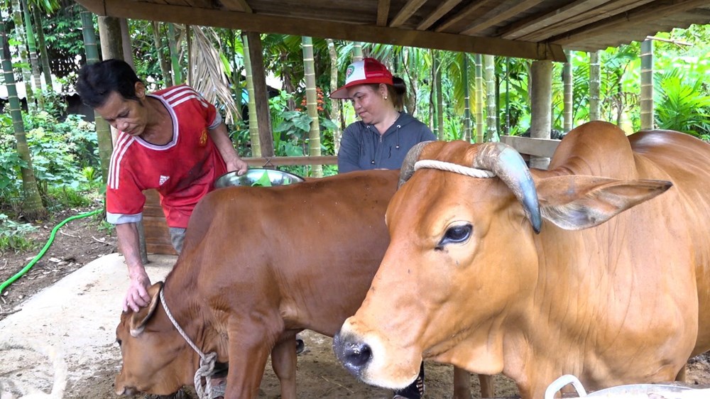  Khi nhận thức thay đổi bằng những mô hình thiết thực - ảnh 1