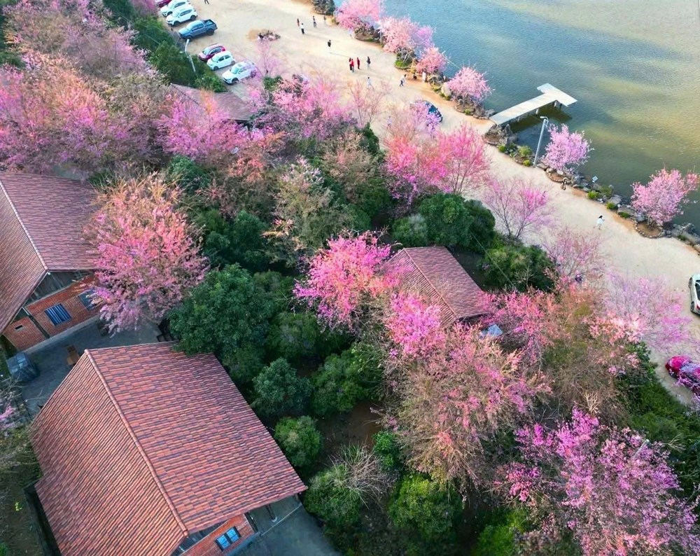 Khép lại Tuần Văn hóa - Du lịch Măng Đen 2026, lan tỏa hình ảnh điểm đến xanh giữa đại ngàn - ảnh 3