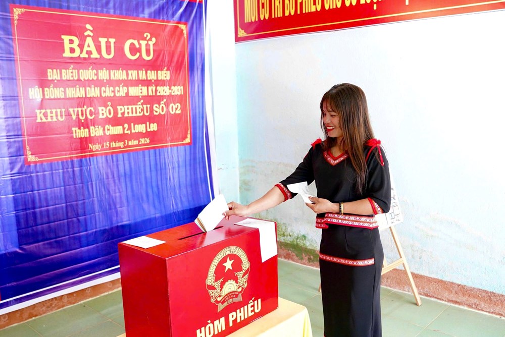 Quảng Ngãi: Mang thùng phiếu đến tận nhà Mẹ Việt Nam Anh hùng - ảnh 3