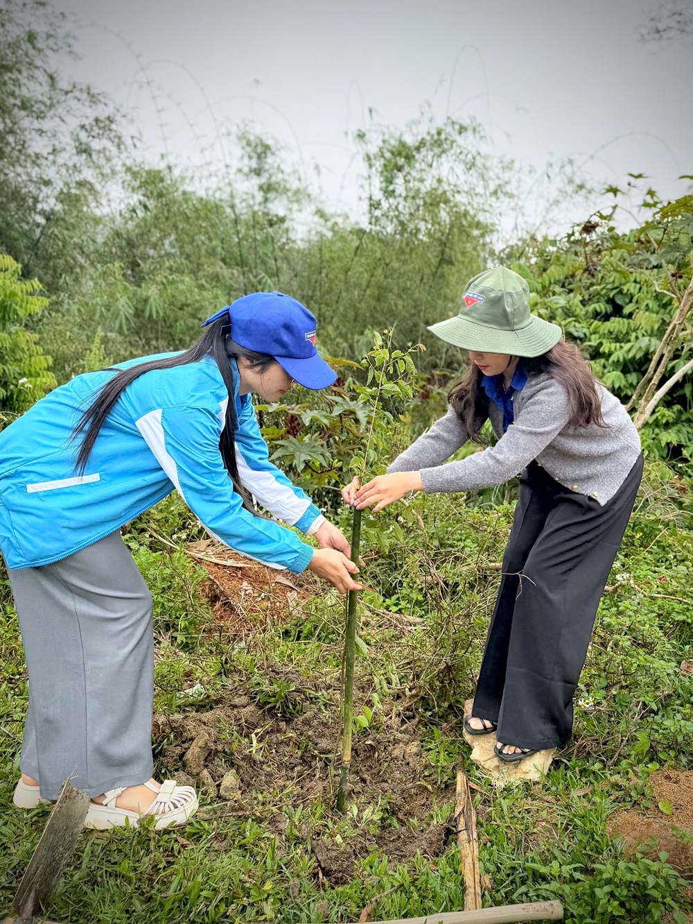Quảng Ngãi: Hình thành những “làng hoa” đón khách ở Măng Đen - ảnh 6