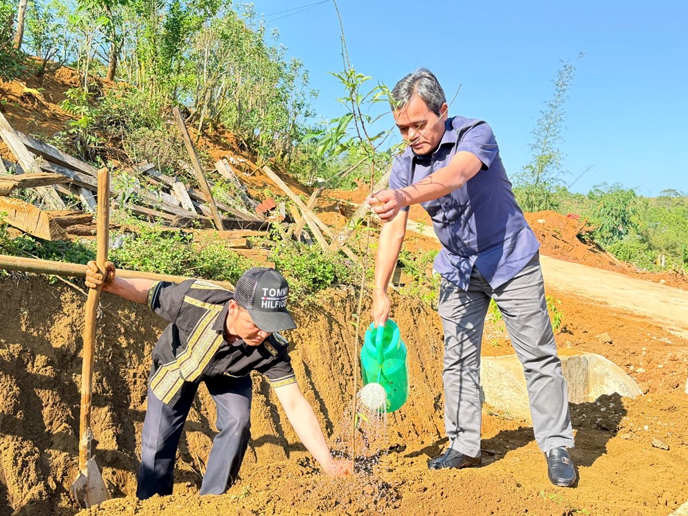 Quảng Ngãi: Hình thành những “làng hoa” đón khách ở Măng Đen - ảnh 3