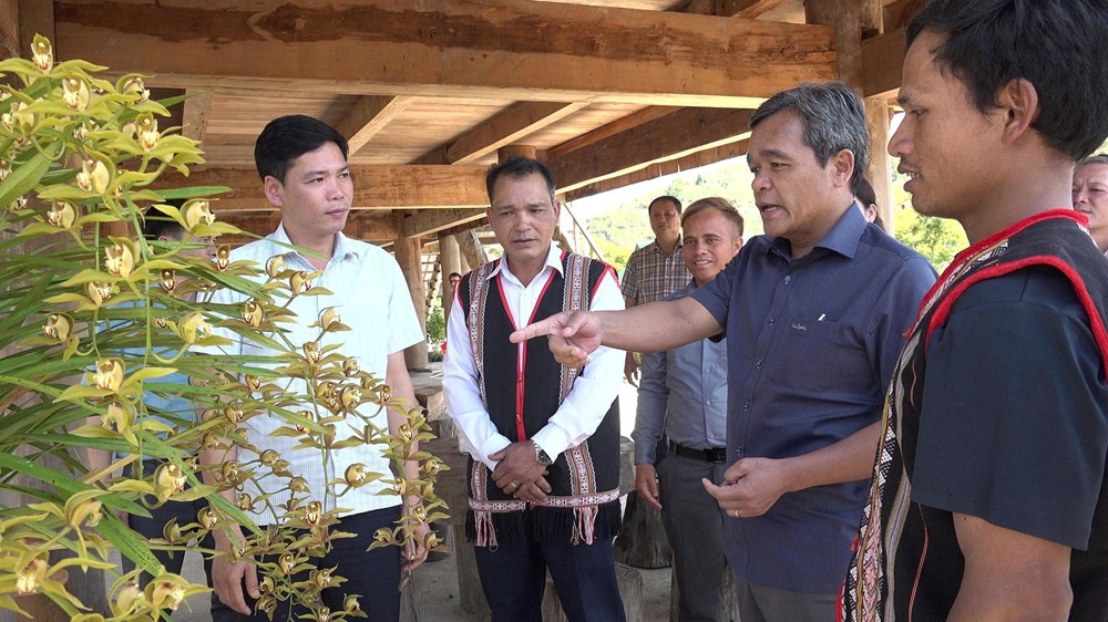 Quảng Ngãi: Hình thành những “làng hoa” đón khách ở Măng Đen - ảnh 1