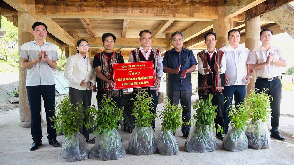 Quảng Ngãi: Hình thành những “làng hoa” đón khách ở Măng Đen - ảnh 2