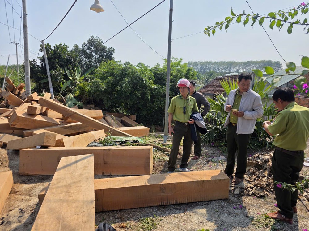 Quảng Ngãi: Lật xe chở gỗ từ Lào về qua cửa khẩu Bờ Y - ảnh 3