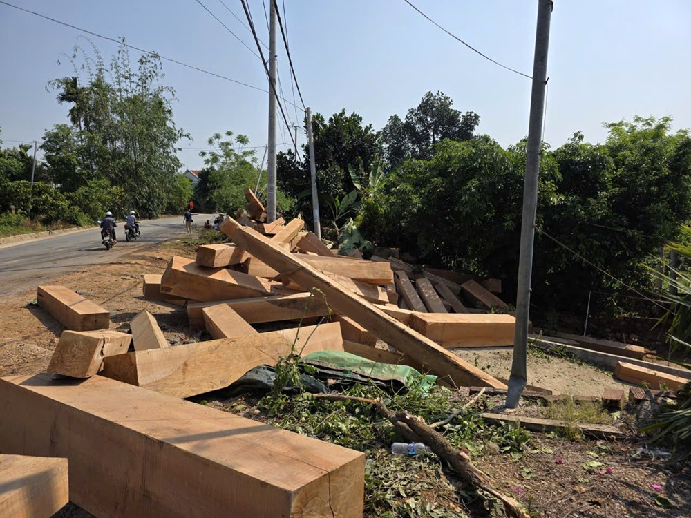 Quảng Ngãi: Lật xe chở gỗ từ Lào về qua cửa khẩu Bờ Y - ảnh 1