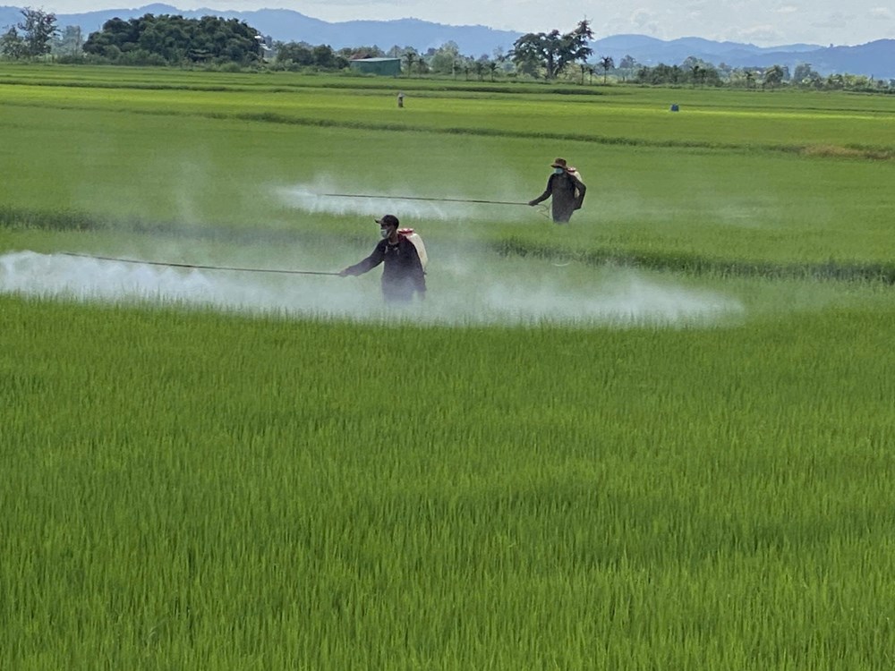 Hiện thực hóa EPR trong xử lý rác thải nông nghiệp - ảnh 4